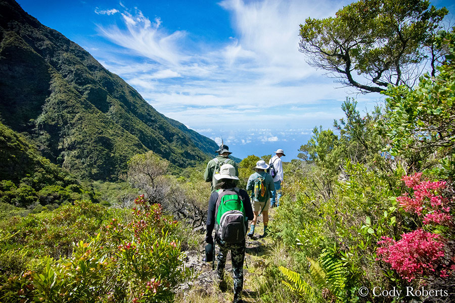 Hiking Halekala Crater Maui